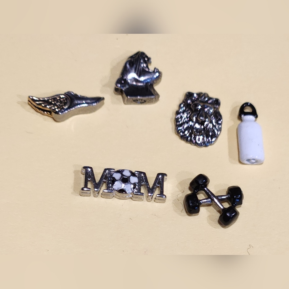 Origami Owl Charm Lot - NEW